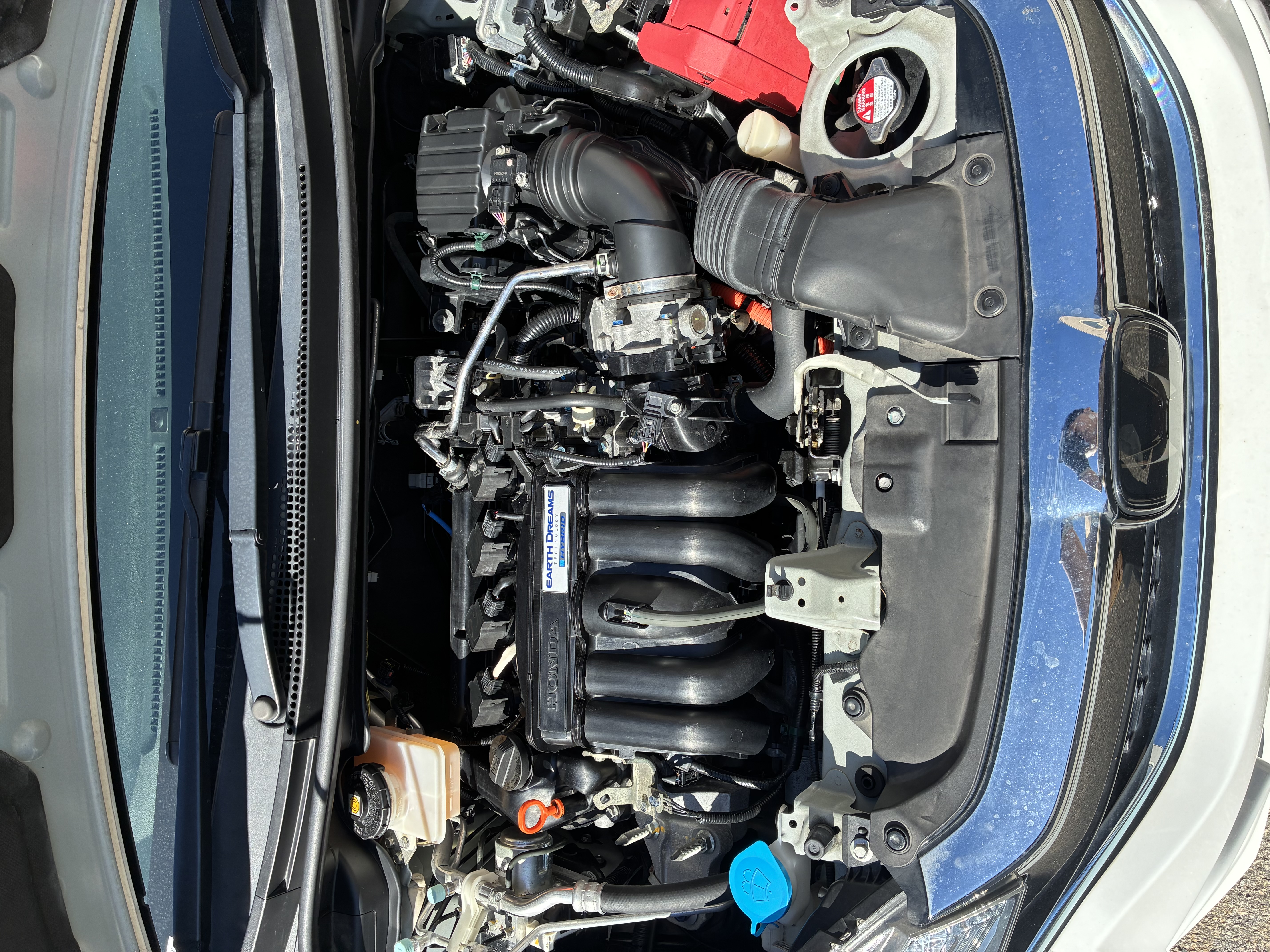 Engine Bay Cleaning